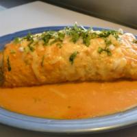 Super Wet Burrito · Your choice of meat, rice, beans, cheese, sour cream, guacamole, cilantro and onions. Comes ...
