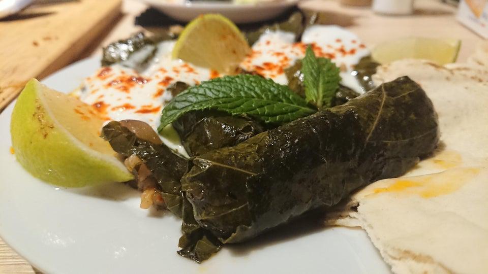 Dolma Grape Leaves Plate · Grape leaves stuffed with rice, tomatoes, onion, and parsley cooked with seasoning.