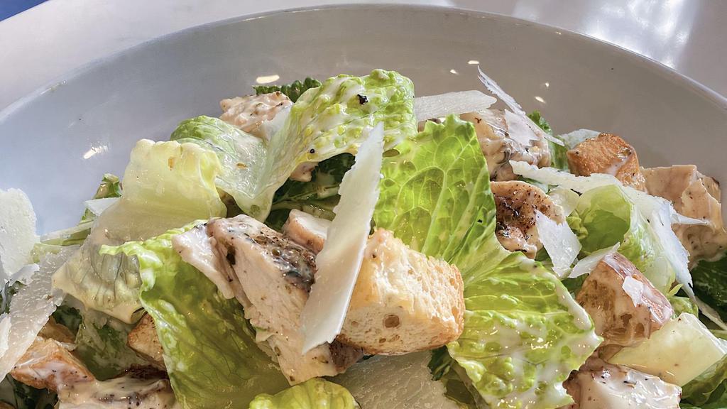 Caesar Chicken Salad · Herb Roasted Chicken, Romaine Lettuce, Shaved Parmesan, House-Made Croutons, Caesar Dressing