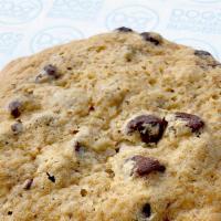Fresh Baked Cookie · Hope's Fresh baked cookies