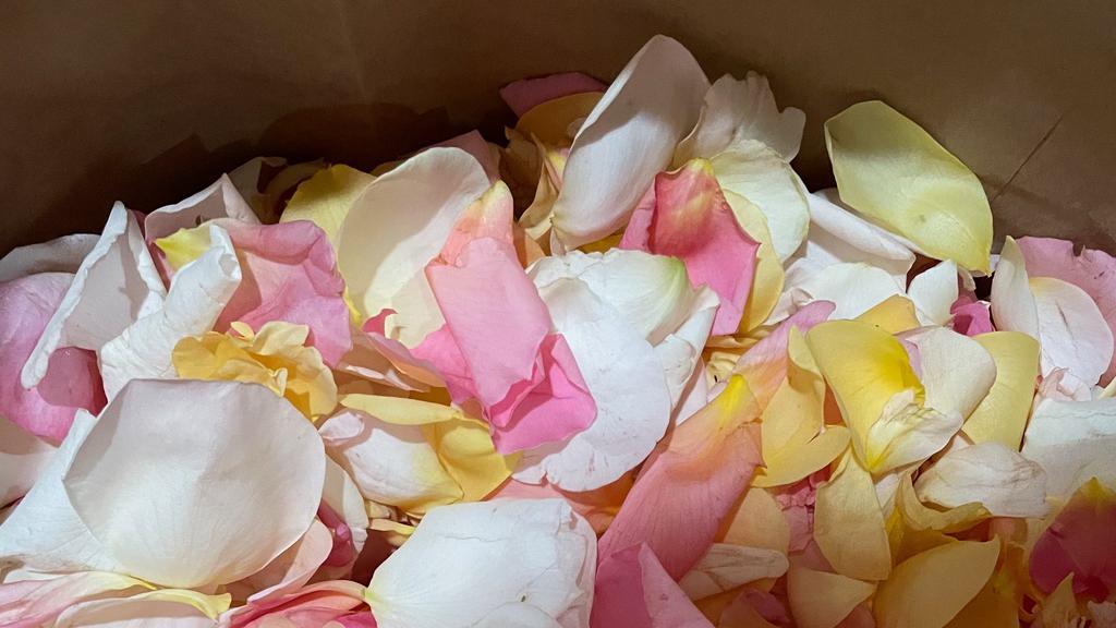 Bag Of Organic Petals · Add lush romantic petals to your next dinner, event or bath. Organically grown on our farm in the Salt Lake Valley, these beatiful petals are highly fragrant and farm fresh. Farmer's choice for color / varieity. Delivered in a recycled kraft paper bag. Approximatly three pounds of petals. 10''x 5