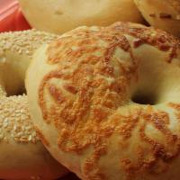 Plain Bagel 🥯  · Freshly baked