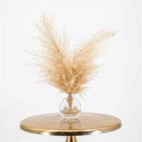Tan Mini Clear Vase · Small arrangement with vase included.  Tan pampas grass in our clear mini circle vase.