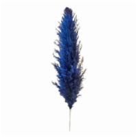 Blue Pampas Stem · 1 blue pampas stem. 3 to 4 feet in length