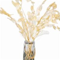 Bleach White Ecuylptus  · 7 to 9 strands of silver dollar bleach white eucalyptus.
Amazing for bouquets, centerpieces,...