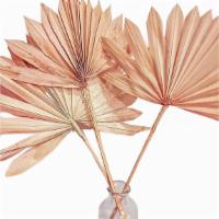 Natural Sun Palm (1) · 1 Natural Sun Palm. Great for larger vases, bouquets or even on their own. Approximately 16