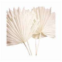 Bleached White Sun Palm (1) · 1 bleach white sun palm. Great for adding to fresh florals, or their own or even in bouquets...