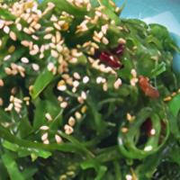Seaweed Salad/日式海带丝 · 