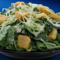 Caesar Salad · Entrée portion with croutons, Parmesan Cheese and Caesar Dressing.