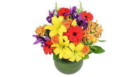 Busse's Flowers & Gifts, Inc. · Unaffiliated listing