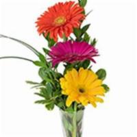 Just For You · The cutest little milk jug bud vase holds Gerbera Daisies in orange, yellow and hot pink.