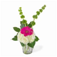Pink Joy · Yippee for pink! A Gerbera Daisy is the star of this arrangement.