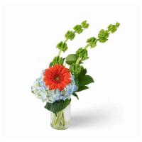 Orange Joy · Yippee for orange! A Gerbera Daisy is the star of this arrangement.