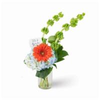 Over The Moon · Hello, little mister! This cute bouquet has a bright orange Gerbera Daisy and blue hydrangeas.