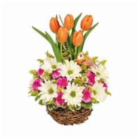 Spring Tulip Garden · Vibrant tulips spring forth from a uniquely innovative garden of daisies, mini carnations an...