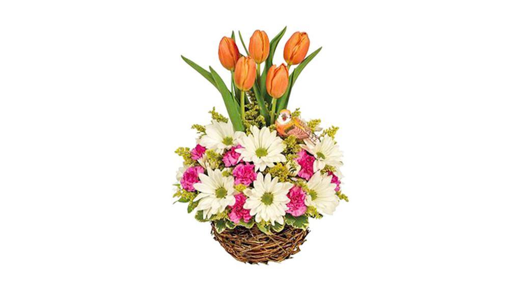 Spring Tulip Garden · Vibrant tulips spring forth from a uniquely innovative garden of daisies, mini carnations and solidago arranged in a playful bird's nest basket. Completing a look that will have mom smiling ear to ear is an irresistible birdie who watches intently over the entire arrangement. Measures 14