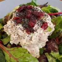 Lulu Chicken Salad · Chicken salad with apples and celery on spring mix. Topped with poppy seeds and cranberries.