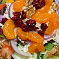 Michigan Salad · Spring mix dry cherries mandarin oranges walnuts tomato cucumber slices onions mozzarella ch...