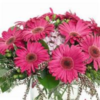Gerbera Glory · Add a bit of pop art prettiness to any room – send a bright bouquet of hot pink gerberas, ac...