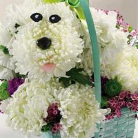 Precious Poodle · No one can resist the perky playfulness of this mum-and-pompon poodle in a basket. For dog-l...