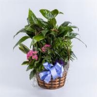 Blooming Basket (12
