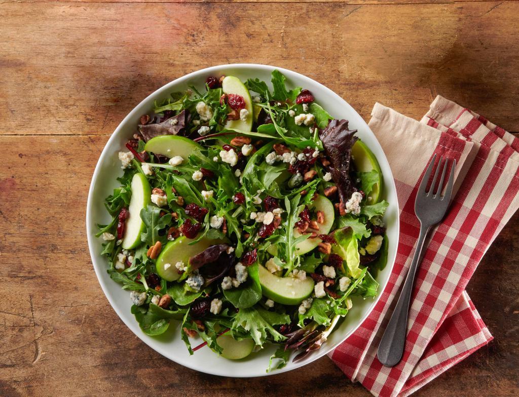 Michigan Apple Salad · spring mix, granny smith apples, dried cranberries, toasted pecans, and bleu cheese crumbles, tossed with apple cider vinaigrette, served with toasted pita bread, add-ons: grilled or crispy chicken, salmon for an additional charge.