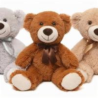 Plush Teddy Bear · These soft and squishy 13.5