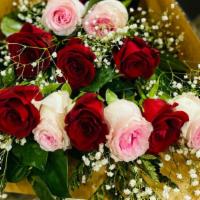 The Red And Pink  · 1 Dozen gorgeous roses RED AND PINK in designer paper , includes greens and babies breath.