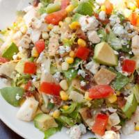 The Wildfire Chopped Salad · Roasted chicken, avocado, tomatoes, blue cheese, bacon, scallions, corn, tortilla strips, ci...