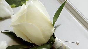 The Ftd® White Rose Boutonniere · W7-4629. The FTD® White Rose Boutonniere creates the classic picture of wedding elegance. A ...