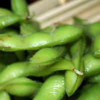 Edamame · Vegetarian, gluten-free. Steamed young soy beans topped with sea salt.