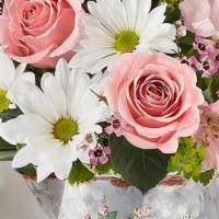 Mother'S Love · Looking for something to give to your family a green thumb for Mother’s Day? This mix of pin...