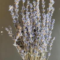 Local Lavender Bundle · Bright lavender bundles are great for a minimalist, natural-looking arrangement at home. The...