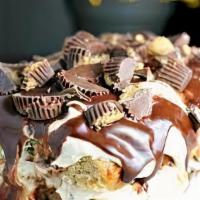 Peanut Butter Explosion · 6.5 oz a dynamite combination of fudge brownies, velvety smooth peanut butter mousse, and ch...