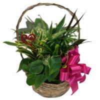Foliage Garden In Basket (10