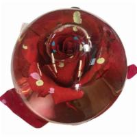 Rose Globe · A fresh cut rose suspended in a water sphere (colors & variety vary).
