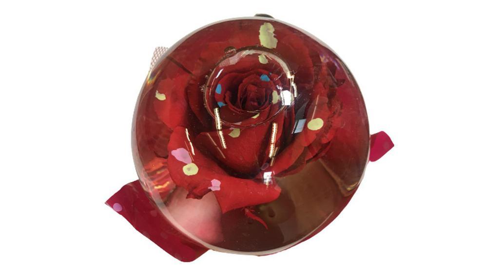 Rose Globe · A fresh cut rose suspended in a water sphere (colors & variety vary).