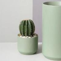 Modern Vase · the simple lines and neutral yet trendy colors of our modern vase make it a easy choice for ...