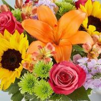 Floral Embrace - Medium · Like a warm embrace, our vibrant bouquet delivers your sentiments to someone special. A rich...