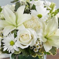 Healing Tears All White · Our sympathy arrangement of angelic white roses, lilies, mums, daisy poms and more, expertly...
