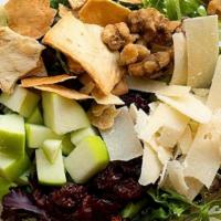 Pure Michigan · Spring Mix, Shaved Parmesan, Candied Walnuts, Dried Michigan Cherries, Apples, Pita Chips, s...