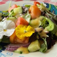 House Salad · Fresh lettuce, tomatoes, cucumber, onions, and Italian dressing.