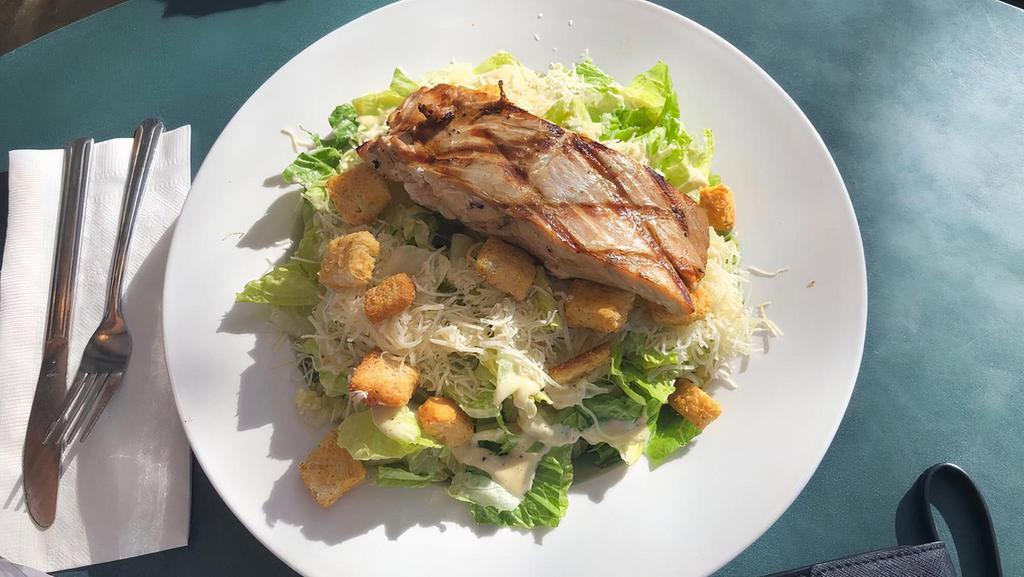 Grilled Salmon Caesar Salad · 6 oz. grilled salmon fillet on a bed of romaine, croutons and Parmesan cheese.