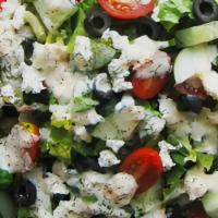 Greek Salad · Romaine, tomato, olives, cucumber, Parmesan, feta, pita.  As a Wrap  served with pasta salad