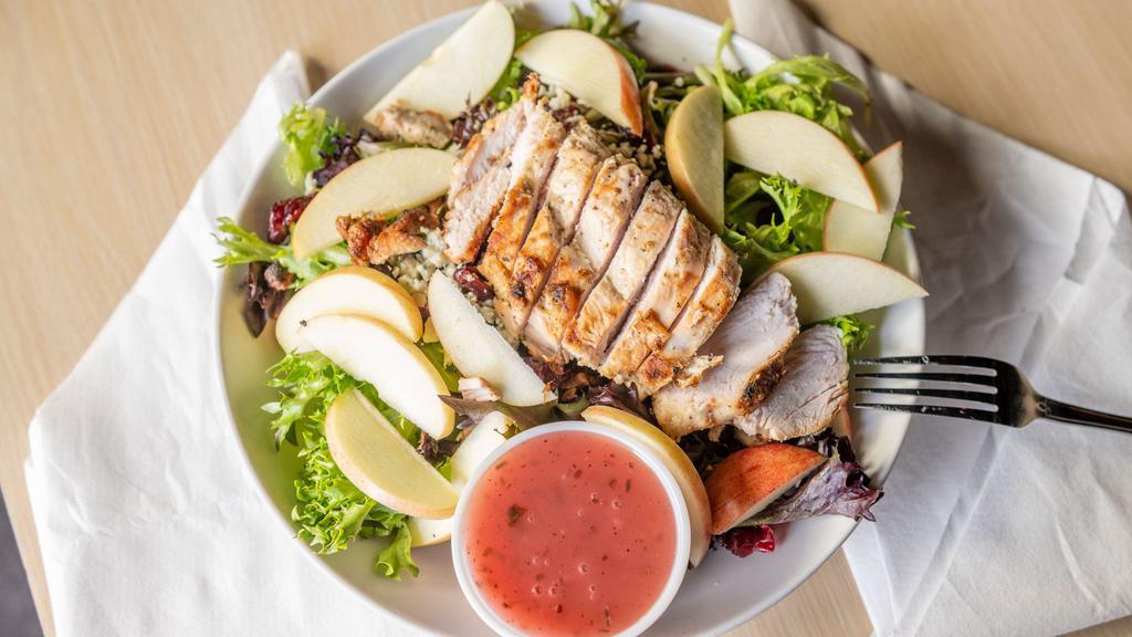 Michigan Spring Salad · Romaine, spring mix, dried cranberries, blue cheese, candied pecans, apples, grilled chicken served, house or raspberry vinaigrette.