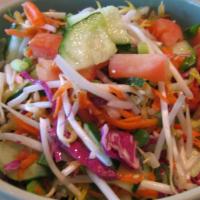 Cucumber Salad · Tomatoes, bean sprouts, carrots, red cabbage and green onions topped with a tangy lemon dres...