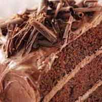 Chocolate Cake · Chocolate cake with fudge.