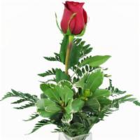 Single Rose Budvase · single rose in a budvase with a little filler and some fresh greens. colors may vary