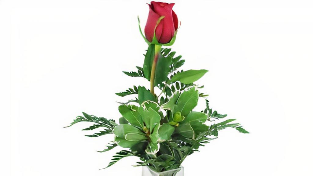 Single Rose Budvase · single rose in a budvase with a little filler and some fresh greens. colors may vary