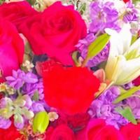Get Well · Vased arrangement of Red roses huuged with White lilies  and a touch of  purple bliss to acc...
